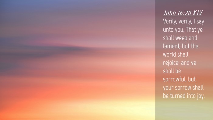 Picture 04 - John 16:20 KJV Desktop Wallpaper - Verily, verily, I say unto you, That ye shall - Desktop Bible Verse Wallpaper