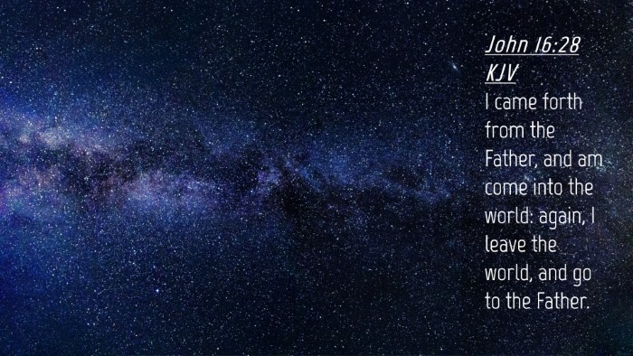 Picture 04 - John 16:28 KJV Desktop Wallpaper - I came forth from the Father, and am come into - Desktop Bible Verse Wallpaper