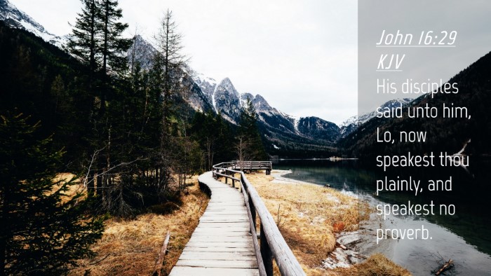 Picture 04 - John 16:29 KJV Desktop Wallpaper - His disciples said unto him, Lo, now speakest - Desktop Bible Verse Wallpaper