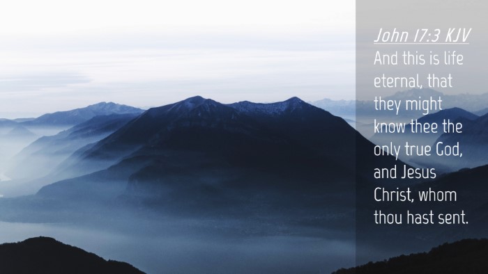 Picture 04 - John 17:3 KJV Desktop Wallpaper - And this is life eternal, that they might know - Desktop Bible Verse Wallpaper