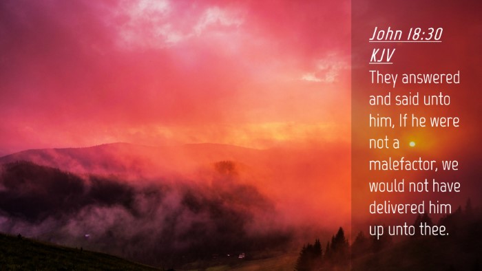 Picture 04 - John 18:30 KJV Desktop Wallpaper - They answered and said unto him, If he were not a - Desktop Bible Verse Wallpaper