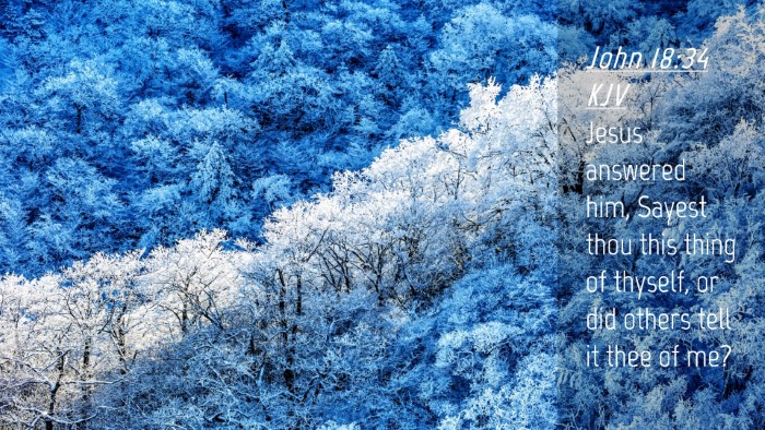Picture 04 - John 18:34 KJV Desktop Wallpaper - Jesus answered him, Sayest thou this thing of - Desktop Bible Verse Wallpaper