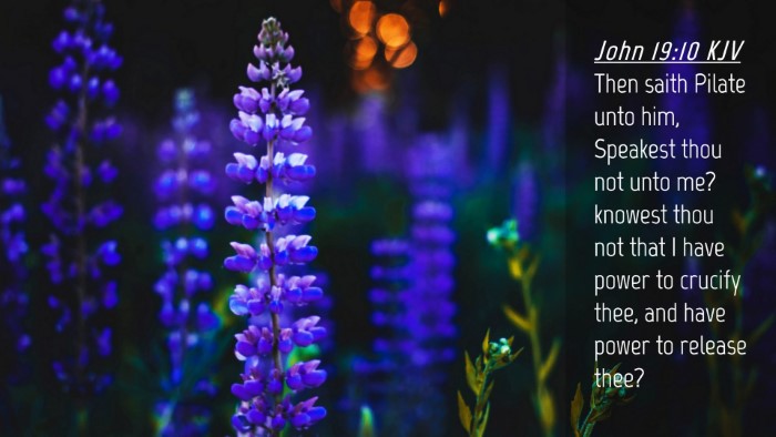 Picture 04 - John 19:10 KJV Desktop Wallpaper - Then saith Pilate unto him, Speakest thou not - Desktop Bible Verse Wallpaper