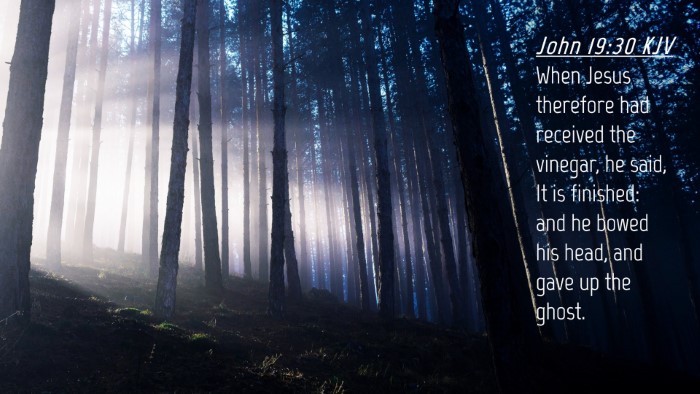 Picture 04 - John 19:30 KJV Desktop Wallpaper - When Jesus therefore had received the vinegar, he - Desktop Bible Verse Wallpaper