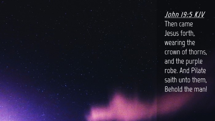 Picture 04 - John 19:5 KJV Desktop Wallpaper - Then came Jesus forth, wearing the crown of - Desktop Bible Verse Wallpaper