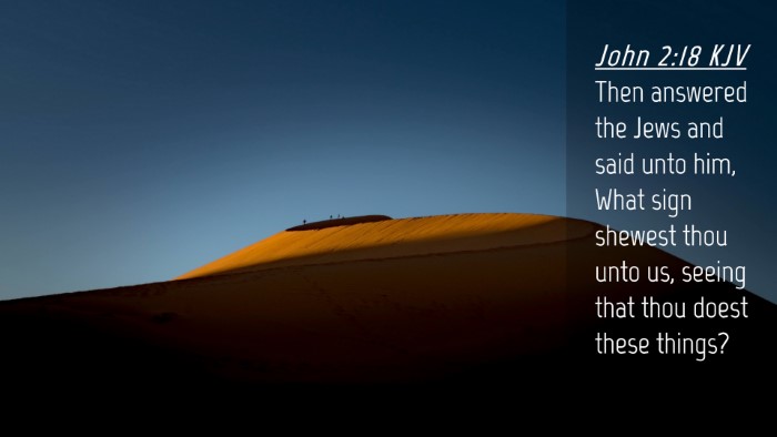 Picture 04 - John 2:18 KJV Desktop Wallpaper - Then answered the Jews and said unto him, What - Desktop Bible Verse Wallpaper