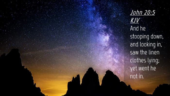 Picture 04 - John 20:5 KJV Desktop Wallpaper - And he stooping down, and looking in, saw the - Desktop Bible Verse Wallpaper