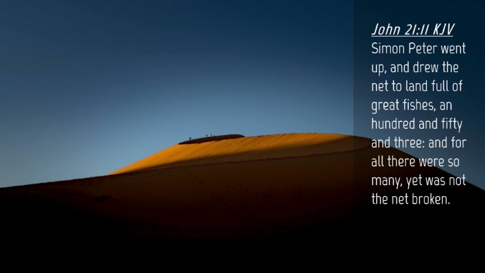 Picture 04 - John 21:11 KJV Desktop Wallpaper - Simon Peter went up, and drew the net to land - Desktop Bible Verse Wallpaper