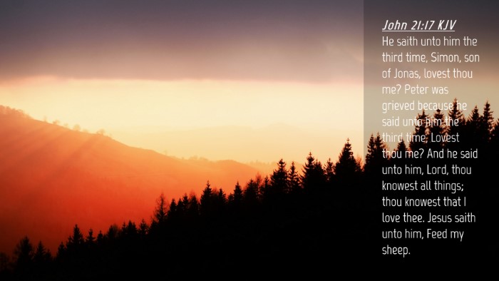 Picture 04 - John 21:17 KJV Desktop Wallpaper - He saith unto him the third time, Simon, son of - Desktop Bible Verse Wallpaper