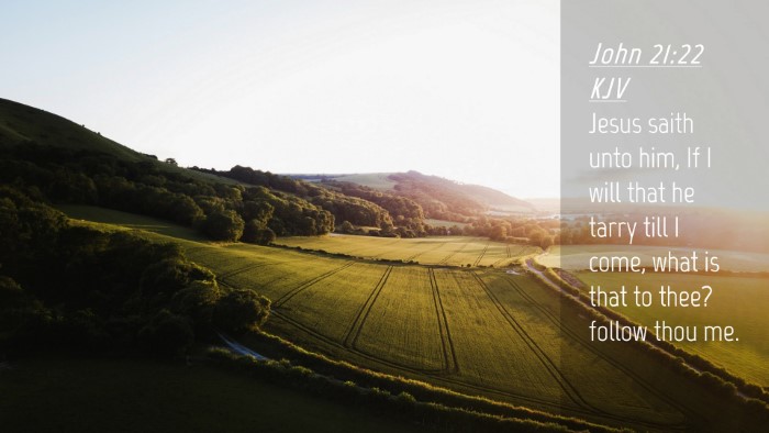 Picture 04 - John 21:22 KJV Desktop Wallpaper - Jesus saith unto him, If I will that he tarry - Desktop Bible Verse Wallpaper