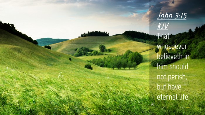 Picture 04 - John 3:15 KJV Desktop Wallpaper - That whosoever believeth in him should not - Desktop Bible Verse Wallpaper