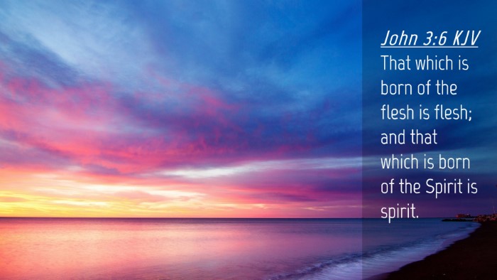 Picture 04 - John 3:6 KJV Desktop Wallpaper - That which is born of the flesh is flesh; and - Desktop Bible Verse Wallpaper