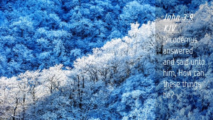 Picture 04 - John 3:9 KJV Desktop Wallpaper - Nicodemus answered and said unto him, How can - Desktop Bible Verse Wallpaper