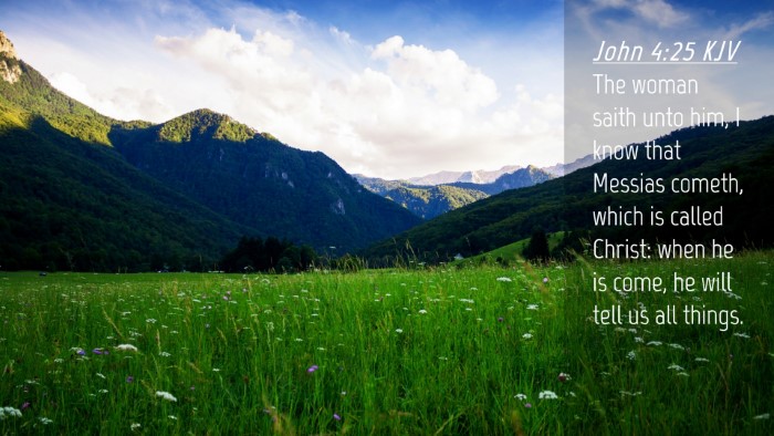 Picture 04 - John 4:25 KJV Desktop Wallpaper - The woman saith unto him, I know that Messias - Desktop Bible Verse Wallpaper