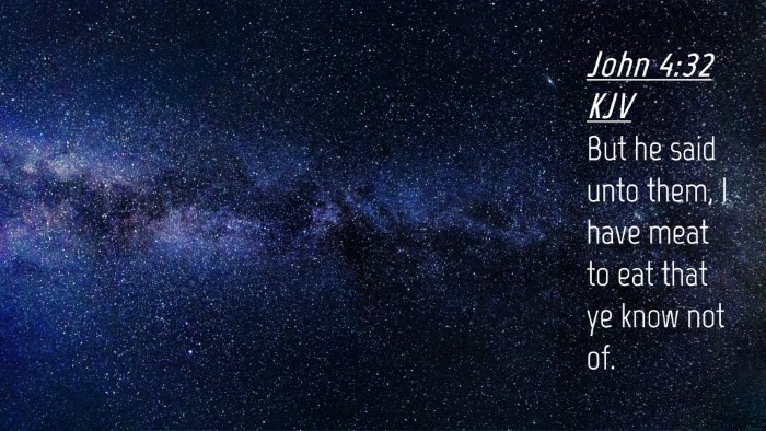 Picture 04 - John 4:32 KJV Desktop Wallpaper - But he said unto them, I have meat to eat that ye - Desktop Bible Verse Wallpaper