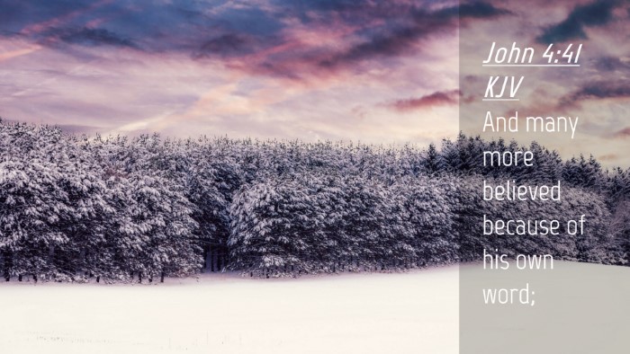 Picture 04 - John 4:41 KJV Desktop Wallpaper - And many more believed because of his own - Desktop Bible Verse Wallpaper