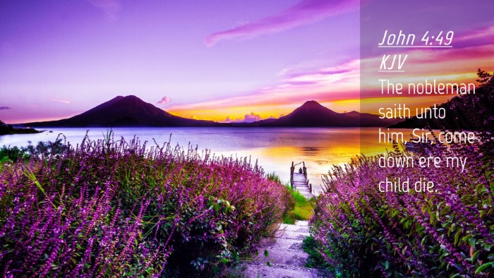 Picture 04 - John 4:49 KJV Desktop Wallpaper - The nobleman saith unto him, Sir, come down ere - Desktop Bible Verse Wallpaper