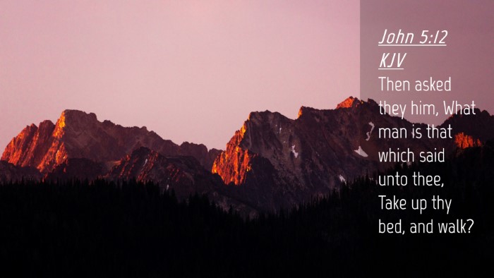 Picture 04 - John 5:12 KJV Desktop Wallpaper - Then asked they him, What man is that which said - Desktop Bible Verse Wallpaper
