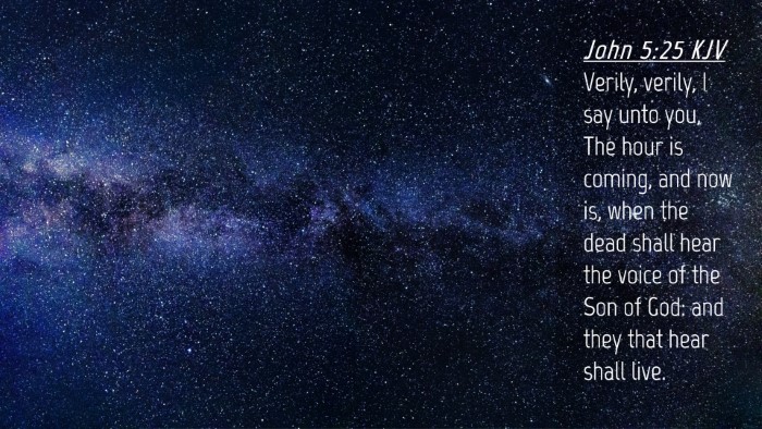 Picture 04 - John 5:25 KJV Desktop Wallpaper - Verily, verily, I say unto you, The hour is - Desktop Bible Verse Wallpaper