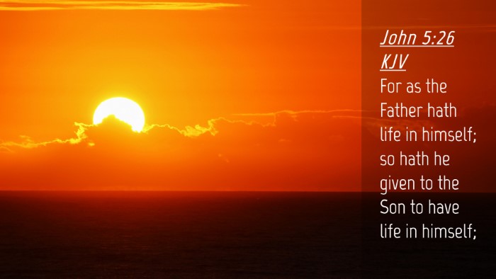 Picture 04 - John 5:26 KJV Desktop Wallpaper - For as the Father hath life in himself; so hath - Desktop Bible Verse Wallpaper