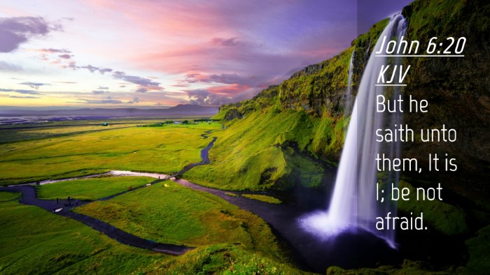 Picture 04 - John 6:20 KJV Desktop Wallpaper - But he saith unto them, It is I; be not - Desktop Bible Verse Wallpaper