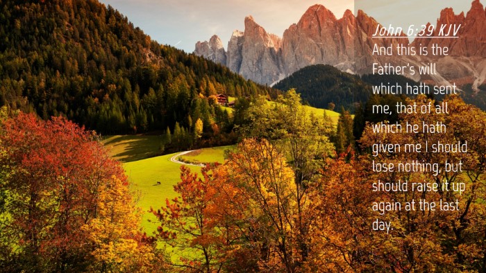Picture 04 - John 6:39 KJV Desktop Wallpaper - And this is the Father's will which hath sent me, - Desktop Bible Verse Wallpaper