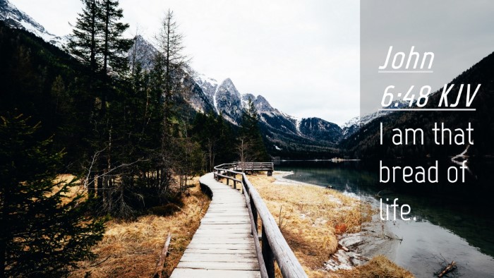 Picture 04 - John 6:48 KJV Desktop Wallpaper - I am that bread of - Desktop Bible Verse Wallpaper