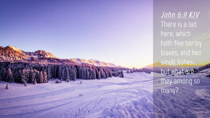 Picture 04 - John 6:9 KJV Desktop Wallpaper - There is a lad here, which hath five barley - Desktop Bible Verse Wallpaper