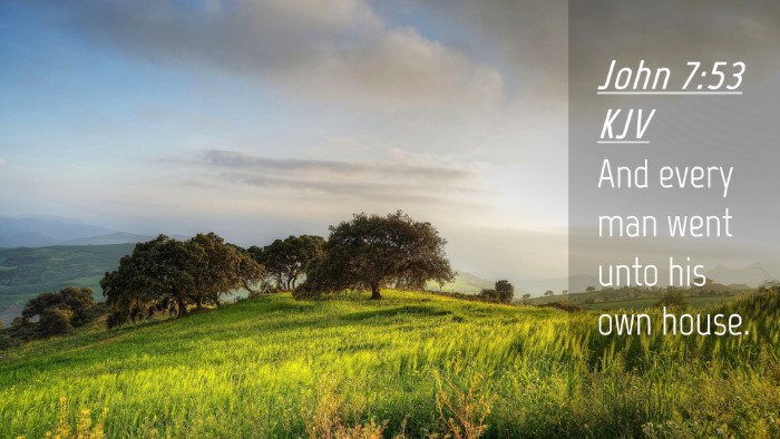 Picture 04 - John 7:53 KJV Desktop Wallpaper - And every man went unto his own - Desktop Bible Verse Wallpaper