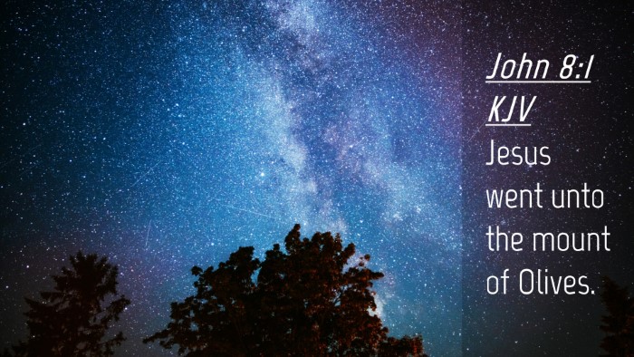 Picture 04 - John 8:1 KJV Desktop Wallpaper - Jesus went unto the mount of - Desktop Bible Verse Wallpaper