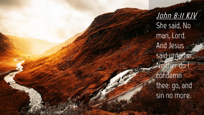 Picture 04 - John 8:11 KJV Desktop Wallpaper - She said, No man, Lord. And Jesus said unto her, - Desktop Bible Verse Wallpaper