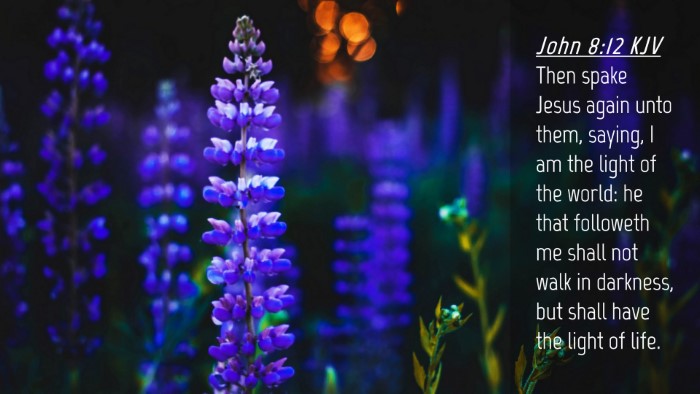 Picture 04 - John 8:12 KJV Desktop Wallpaper - Then spake Jesus again unto them, saying, I am - Desktop Bible Verse Wallpaper