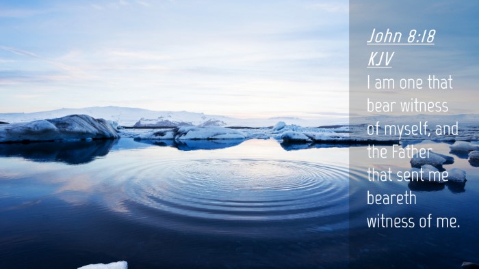 Picture 04 - John 8:18 KJV Desktop Wallpaper - I am one that bear witness of myself, and the - Desktop Bible Verse Wallpaper