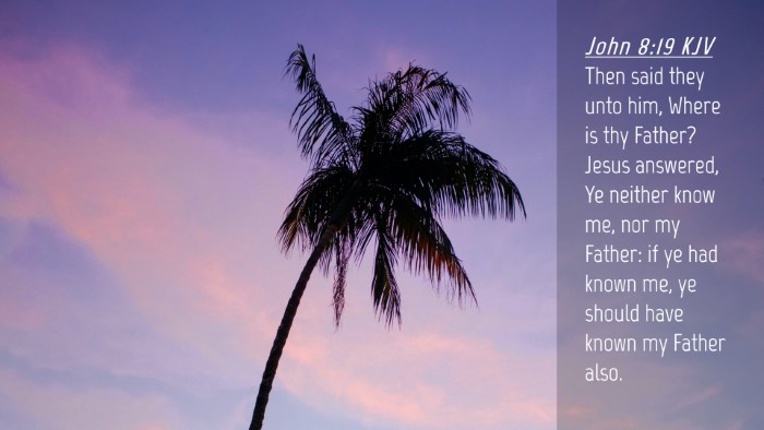 Picture 04 - John 8:19 KJV Desktop Wallpaper - Then said they unto him, Where is thy Father? - Desktop Bible Verse Wallpaper