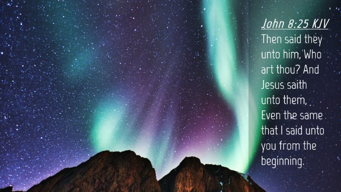 Picture 04 - John 8:25 KJV Desktop Wallpaper - Then said they unto him, Who art thou? And Jesus - Desktop Bible Verse Wallpaper