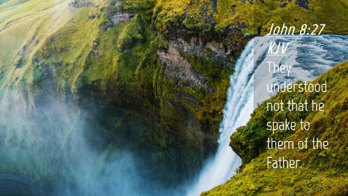 Picture 04 - John 8:27 KJV Desktop Wallpaper - They understood not that he spake to them of the - Desktop Bible Verse Wallpaper