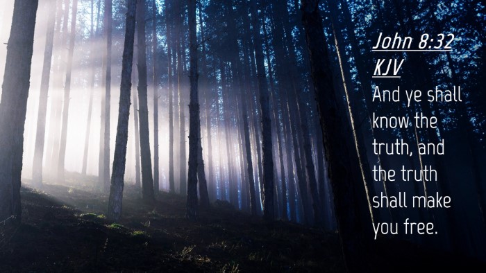 Picture 04 - John 8:32 KJV Desktop Wallpaper - And ye shall know the truth, and the truth shall - Desktop Bible Verse Wallpaper