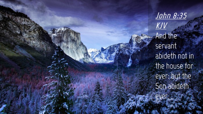 Picture 04 - John 8:35 KJV Desktop Wallpaper - And the servant abideth not in the house for - Desktop Bible Verse Wallpaper