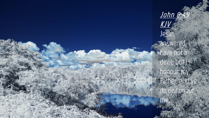 Picture 04 - John 8:49 KJV Desktop Wallpaper - Jesus answered, I have not a devil; but I honour - Desktop Bible Verse Wallpaper