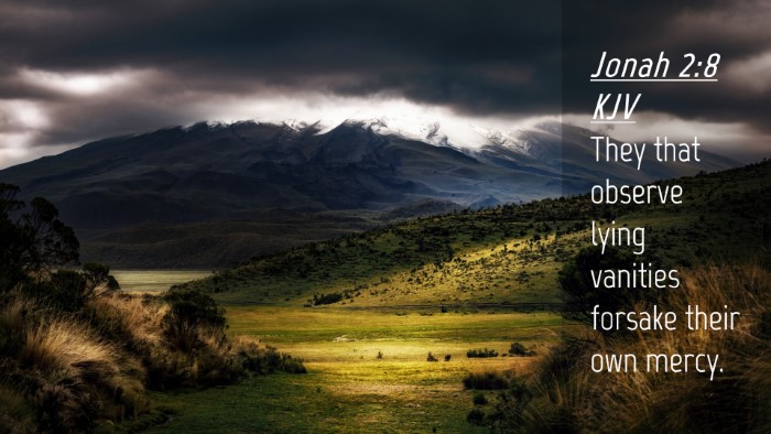 Picture 04 - Jonah 2:8 KJV Desktop Wallpaper - They that observe lying vanities forsake their - Desktop Bible Verse Wallpaper