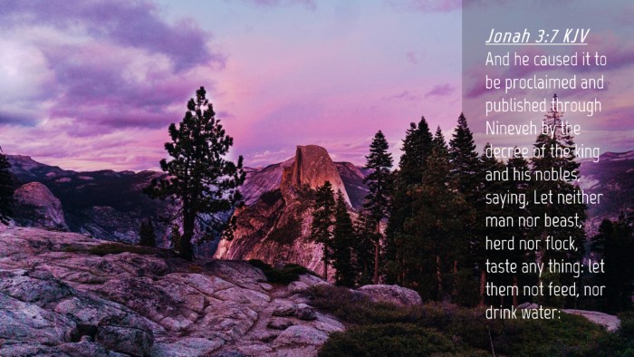 Picture 04 - Jonah 3:7 KJV Desktop Wallpaper - And he caused it to be proclaimed and published - Desktop Bible Verse Wallpaper