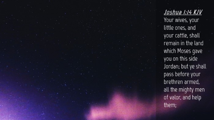 Picture 04 - Joshua 1:14 KJV Desktop Wallpaper - Your wives, your little ones, and your cattle, - Desktop Bible Verse Wallpaper