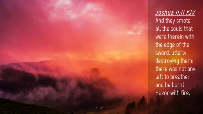 Picture 04 - Joshua 11:11 KJV Desktop Wallpaper - And they smote all the souls that were therein - Desktop Bible Verse Wallpaper