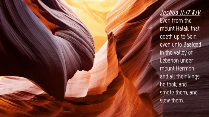 Picture 04 - Joshua 11:17 KJV Desktop Wallpaper - Even from the mount Halak, that goeth up to Seir, - Desktop Bible Verse Wallpaper