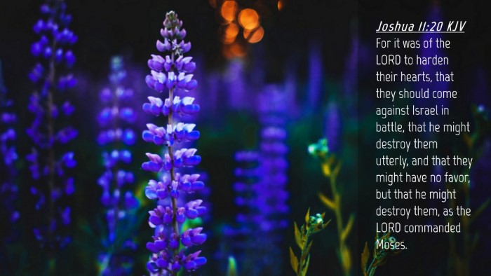 Picture 04 - Joshua 11:20 KJV Desktop Wallpaper - For it was of the LORD to harden their hearts, - Desktop Bible Verse Wallpaper