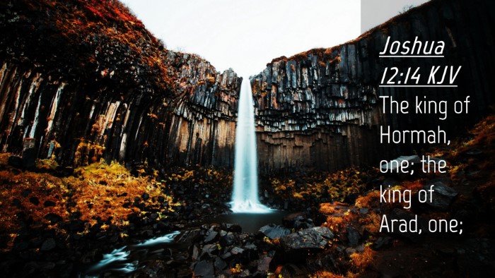 Picture 04 - Joshua 12:14 KJV Desktop Wallpaper - The king of Hormah, one; the king of Arad, - Desktop Bible Verse Wallpaper