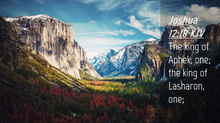 Picture 04 - Joshua 12:18 KJV Desktop Wallpaper - The king of Aphek, one; the king of Lasharon, - Desktop Bible Verse Wallpaper