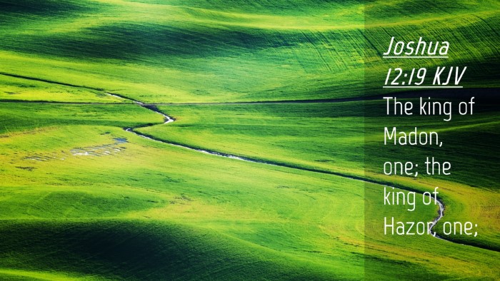 Picture 04 - Joshua 12:19 KJV Desktop Wallpaper - The king of Madon, one; the king of Hazor, - Desktop Bible Verse Wallpaper