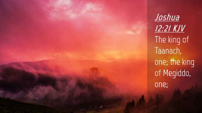 Picture 04 - Joshua 12:21 KJV Desktop Wallpaper - The king of Taanach, one; the king of Megiddo, - Desktop Bible Verse Wallpaper