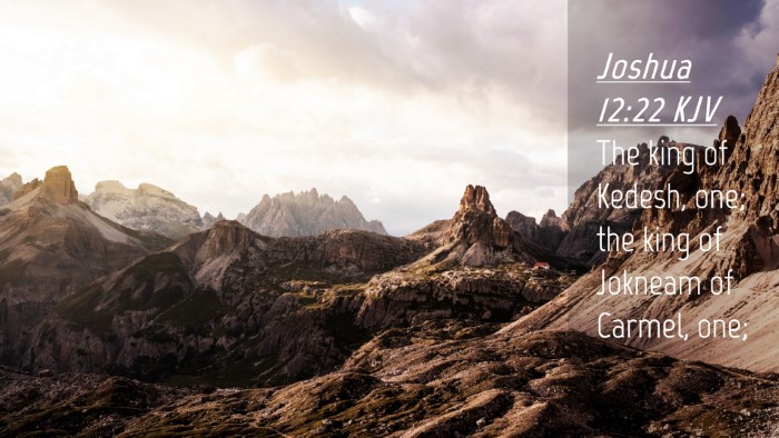 Picture 04 - Joshua 12:22 KJV Desktop Wallpaper - The king of Kedesh, one; the king of Jokneam of - Desktop Bible Verse Wallpaper